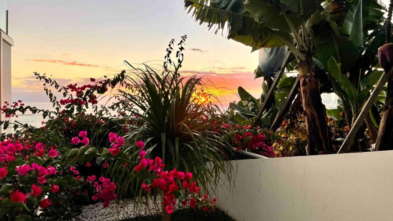 Holiday Apartment Sunset Ocean 里贝拉布拉瓦 外观 照片